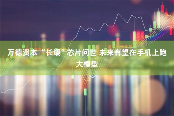 万德资本 “长缨”芯片问世 未来有望在手机上跑大模型