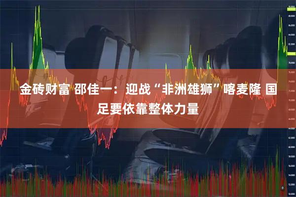 金砖财富 邵佳一：迎战“非洲雄狮”喀麦隆 国足要依靠整体力量